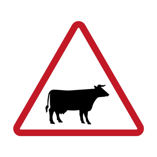 Cattle Crossing